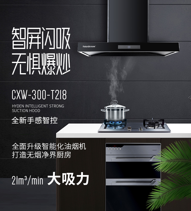 煙機--T218_01.jpg